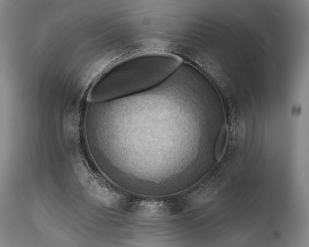 X0000112030440200908031440