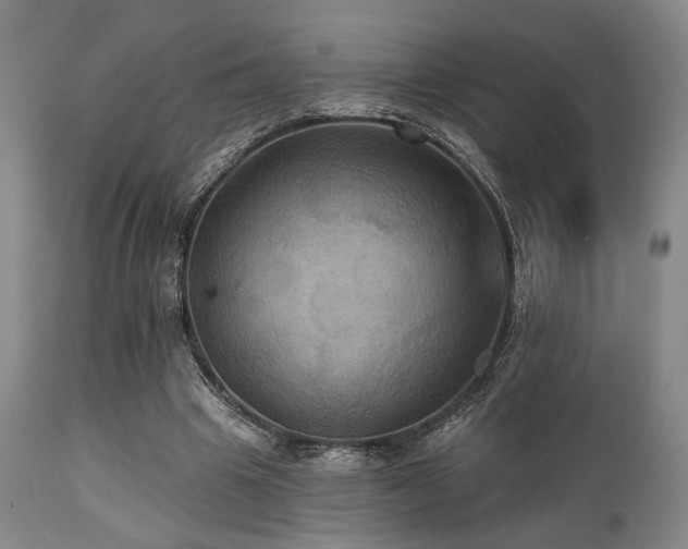 X0000112030441200908031440