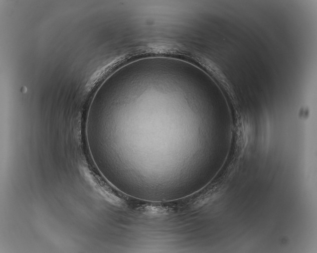 X0000112030442200908031440