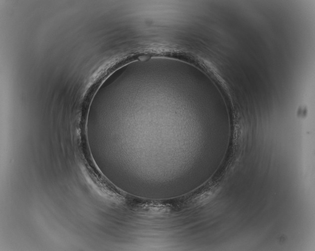 X0000112030443200908031440
