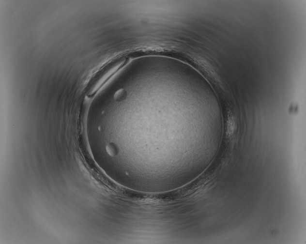 X0000112030444200908031440