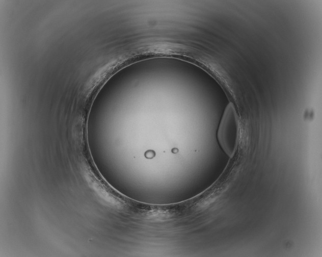 X0000112030445200908031440