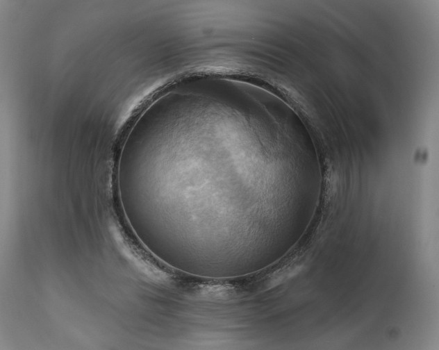 X0000112030446200908031440
