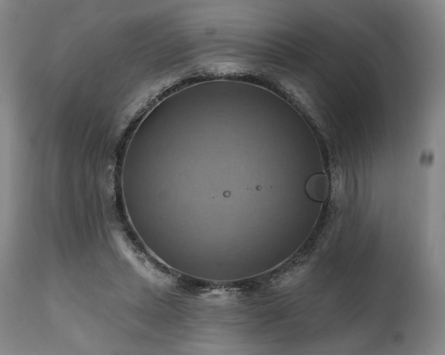 X0000112030447200908031440