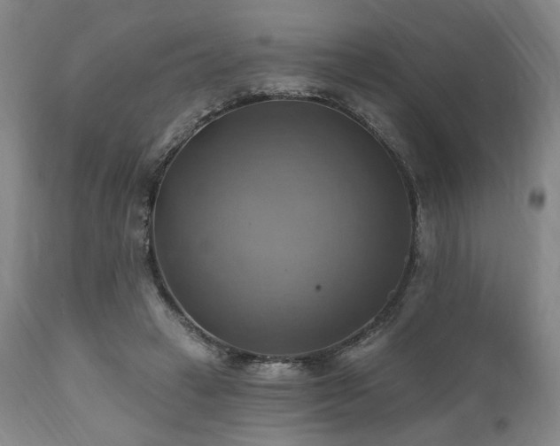 X0000112030449200908031440