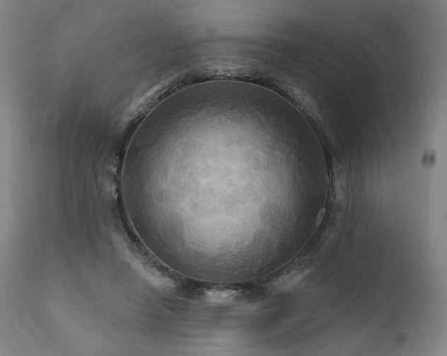 X0000112030450200908031440