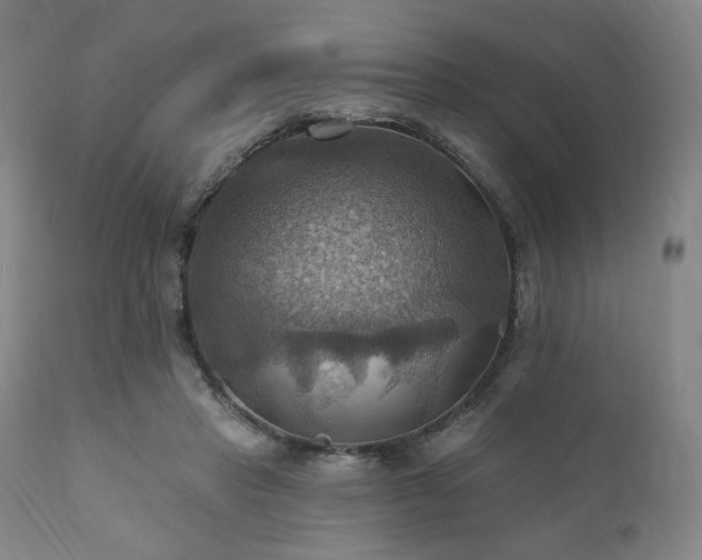 X0000112030453200908031440
