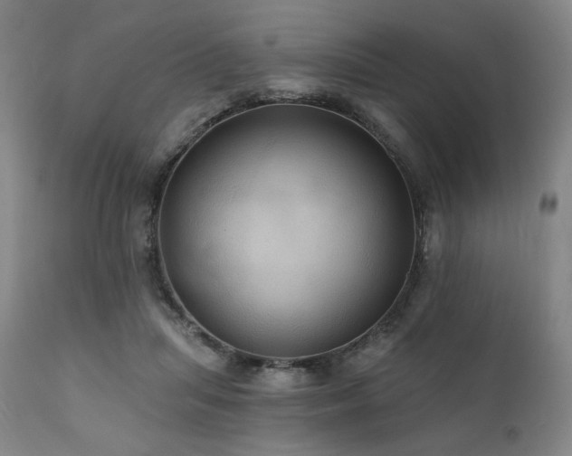 X0000112030455200908031440