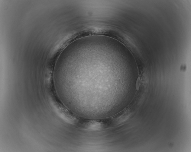 X0000112030456200908031440