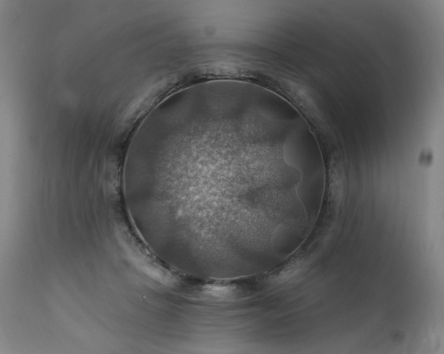 X0000112030457200908031440