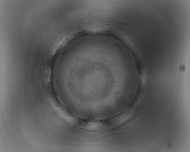 X0000112030458200908031440