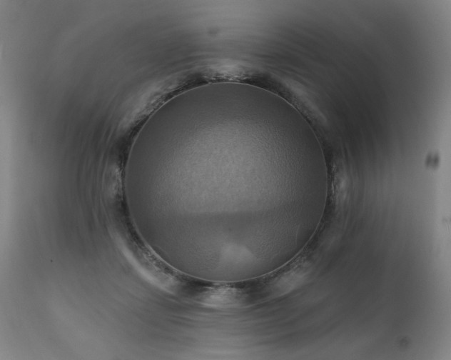 X0000112030459200908031440