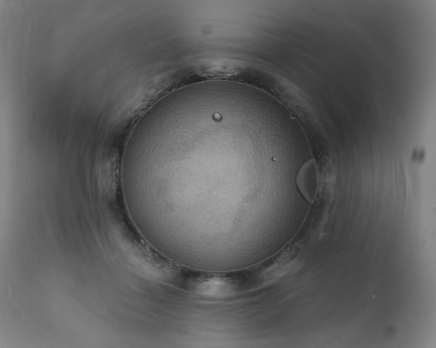 X0000112030460200908031440