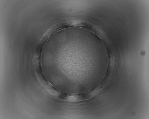 X0000112030461200908031440
