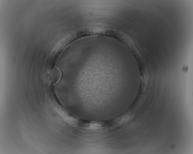 X0000112030462200908031440