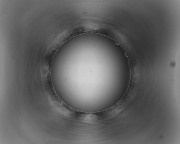 X0000112030463200908031440