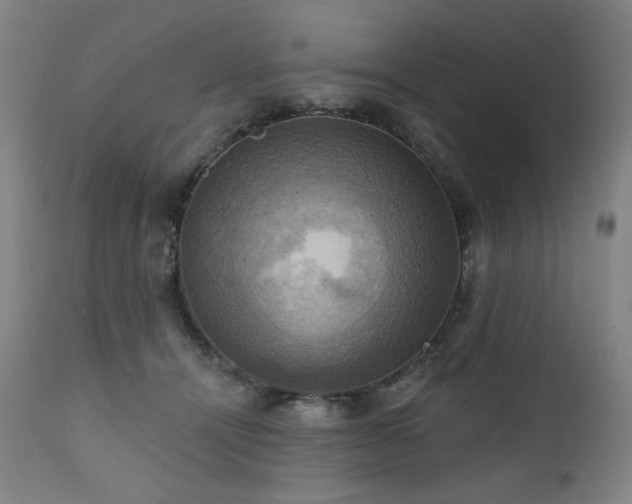 X0000112030464200908031440