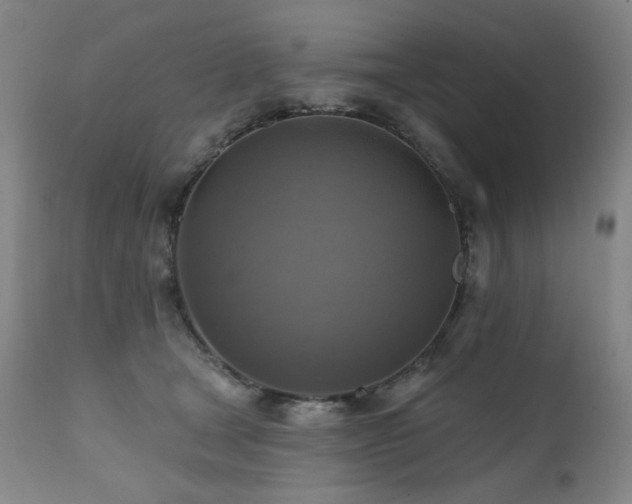 X0000112030465200908031440