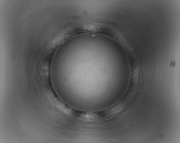 X0000112030466200908031440