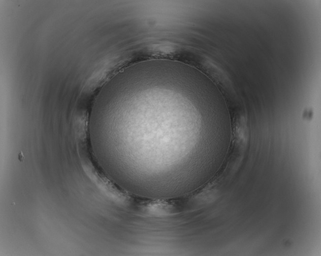 X0000112030468200908031440