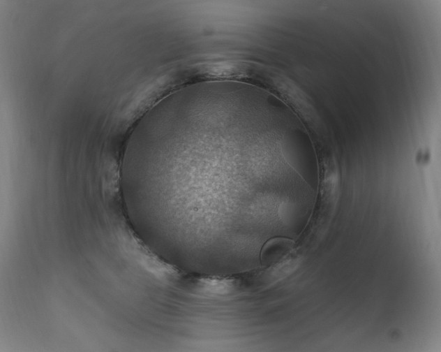X0000112030469200908031440