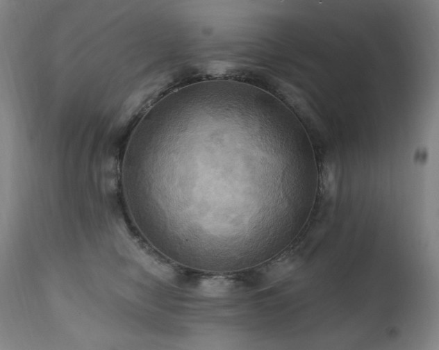 X0000112030470200908031440