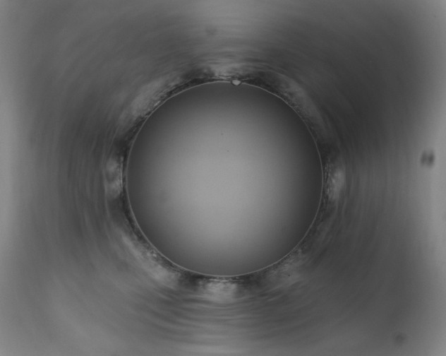 X0000112030471200908031440