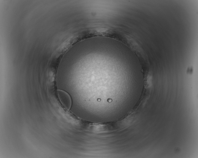 X0000112030472200908031440
