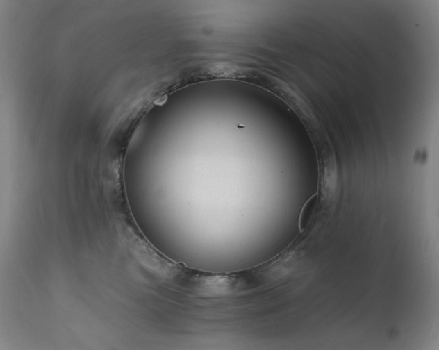X0000112030473200908031440