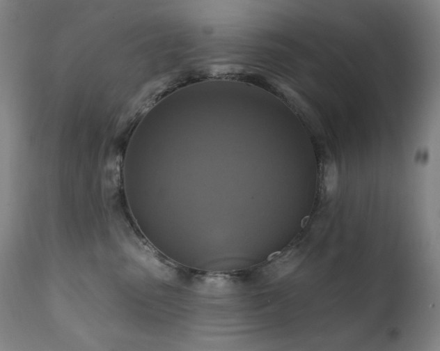 X0000112030475200908031440