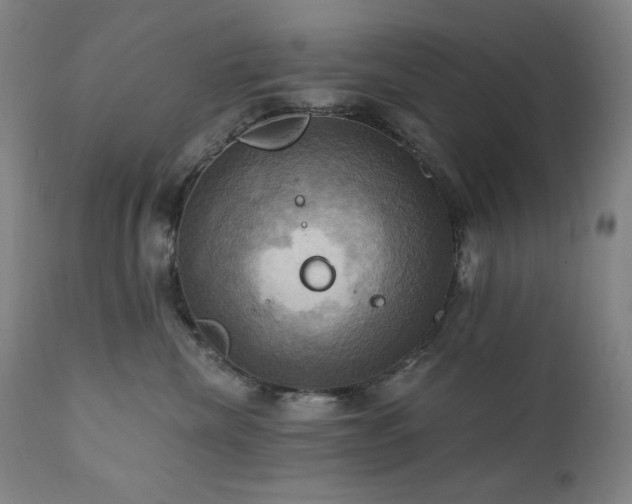 X0000112030476200908031440