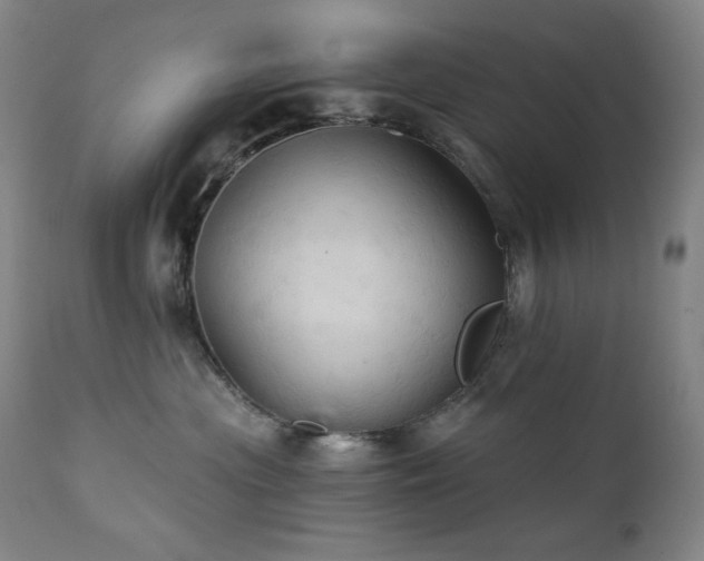 X0000112030477200908031440