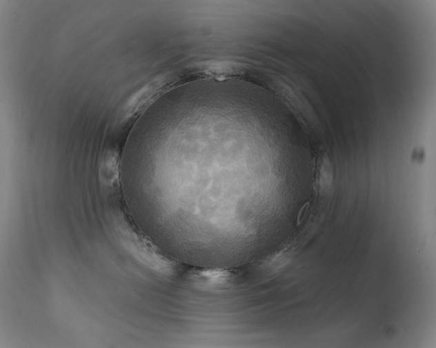 X0000112030478200908031440