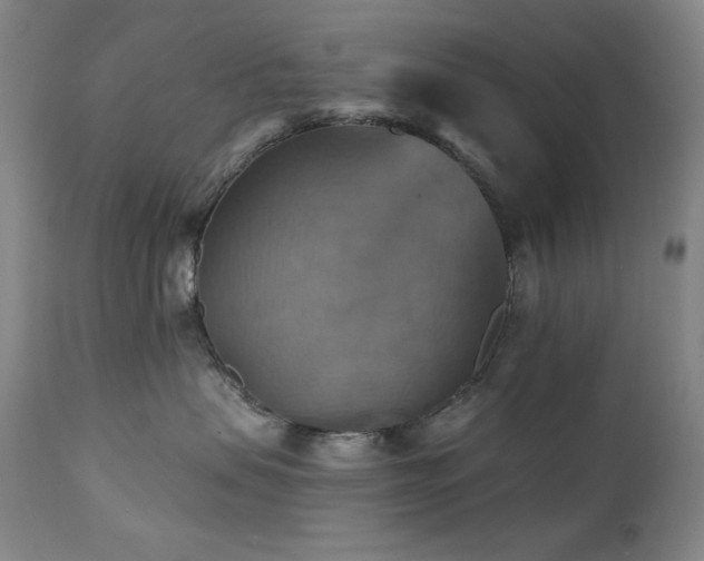 X0000112030479200908031440
