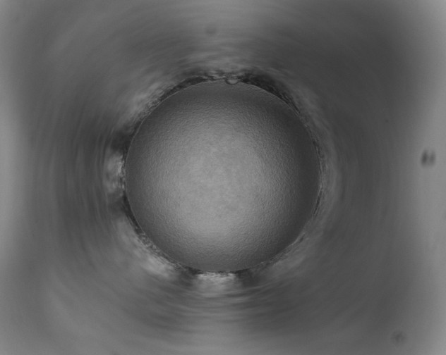 X0000112030480200908031440