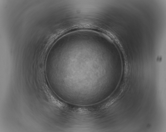 X0000112030481200908031440