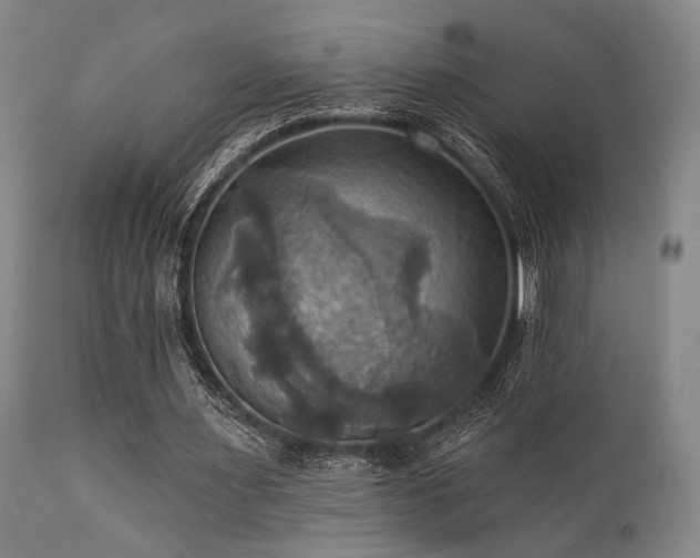 X0000112030483200908031440