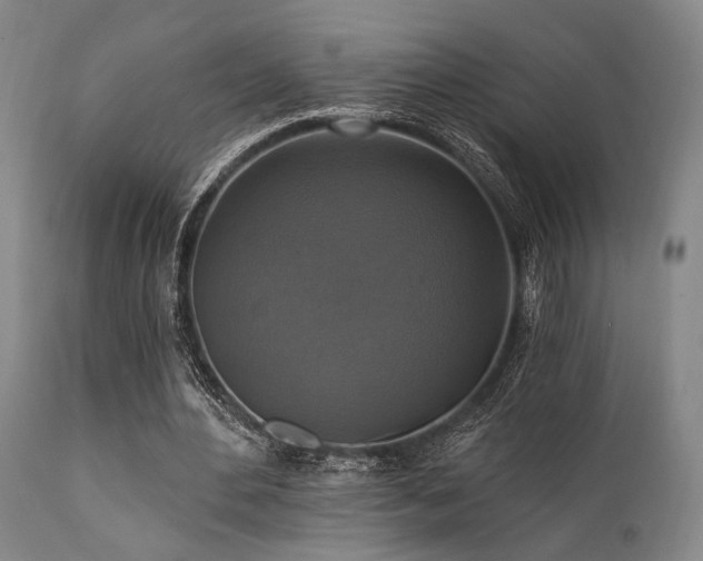 X0000112030484200908031440