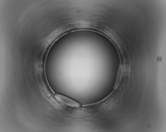 X0000112030485200908031440