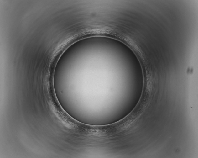 X0000112030486200908031440