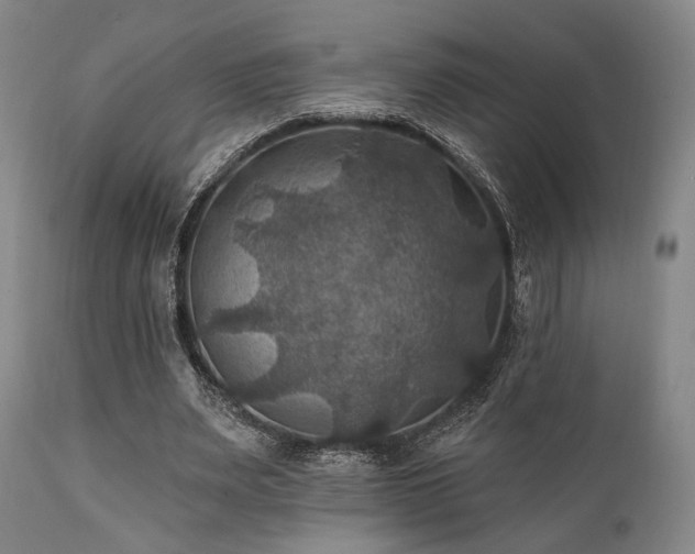 X0000112030487200908031440