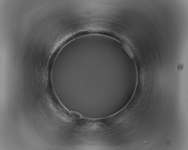 X0000112030488200908031440