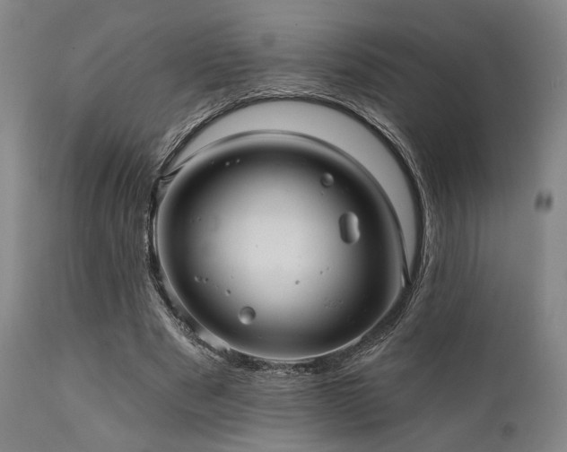 X0000112030489200908031440