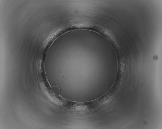 X0000112030491200908031440
