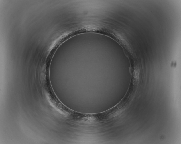 X0000112030492200908031440