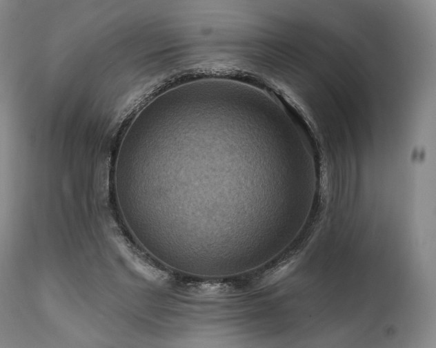 X0000112030493200908031440