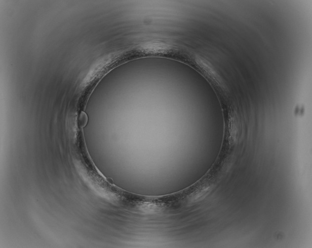 X0000112030494200908031440
