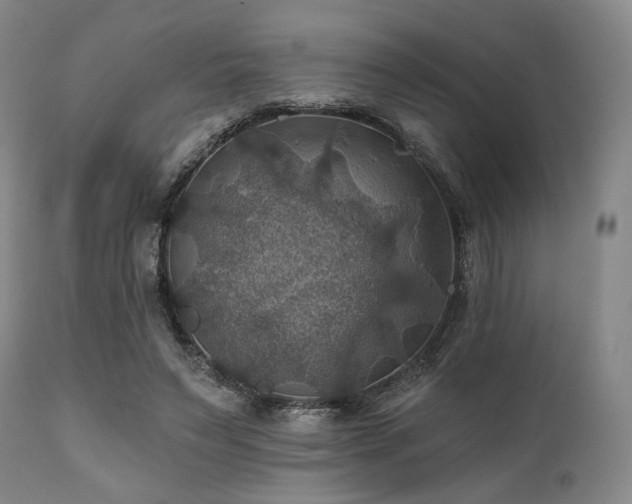 X0000112030495200908031440