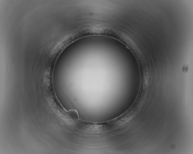 X0000112030497200908031440