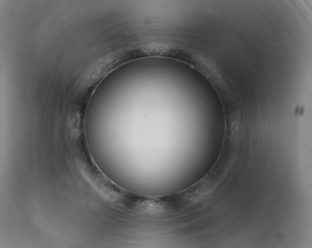 X0000112030498200908031440